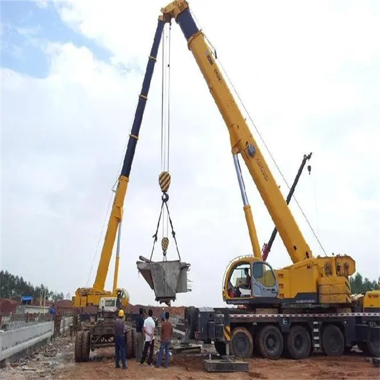 阳山小型吊机出租电话|厂房设备吊装方案|24小时服务覆盖